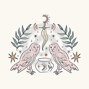 Mystical boho line hand drawn owl. Minimalist esoteric owls, moon, dagger, jar kettle. Good for tattoo print, astrology