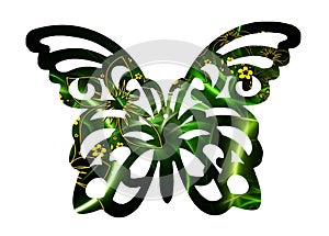 Mystical butterfly graphic vector art