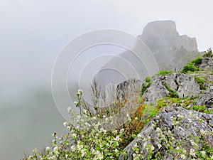 Mystical castle of Montsegur, flagship of catharism.