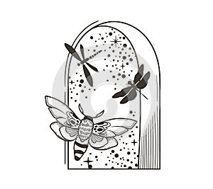 Mystical celestial composition with night window, moth and dragonfly, vector clipart in black color, magic lunar insect