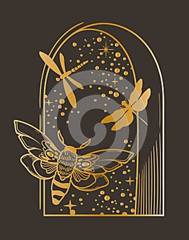 Mystical celestial composition with night window, moth and dragonfly, vector clipart in gold foil texture on dark