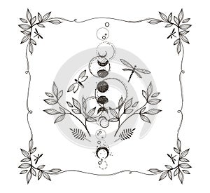 Mystical celestial moth, leaves, moon phases with floral frame, magic entomology clip art in black color silhouette