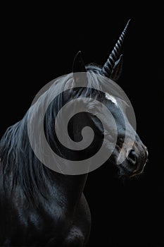 Mystical and Endearing Ebony Black Unicorn Portrait