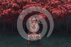 Mystical fairy forest with throne photo