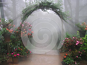 Mystical Flower Entrance