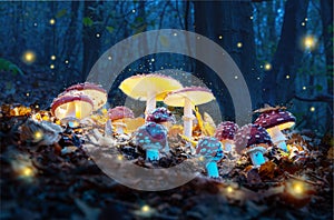 Mystical fly agarics glow in a mysterious dark forest. Fairytale background for Halloween