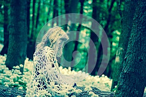 Mystical girl in dark woods