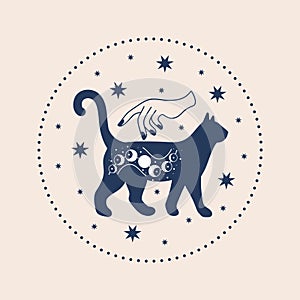 Mystical illustration of witchy hand and celestial black cat, witchcraft symbol