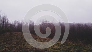 Mystical landscape in the beech forest with few leaves shrouded in dense fog in the cold season