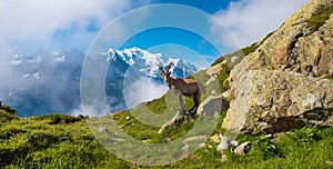 The mystical landscape of mountain shee near Mont Blanc in the F