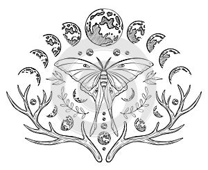 Mystical luna Moth with Moon phases. Vector illustration of a night butterfly with wings. Drawing of celestial magical