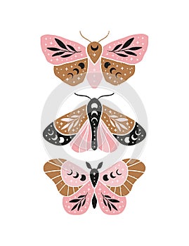 Mystical luna moth vector illustration.