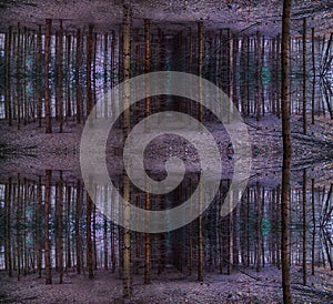 Mystical magic fall symmetrical magical forest scene