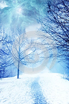 Mystical magic winter landscape with snow and path