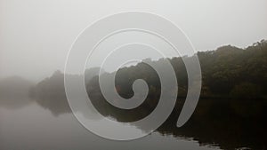 Mystical and magical landscape, fog, reflection of trees in the lake, pond, nature. Gray and silver sky.