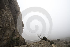 Mystical misty mountain landscape