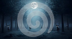 Mystical Moonlight Deer Forest