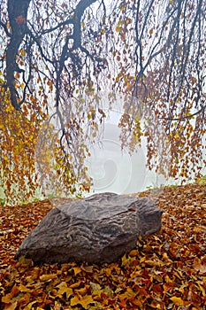 A mystical morning in a foggy autumn park on the shore of a pond.