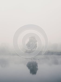 Mystical morning landscape with fog over the lake. Soft focus