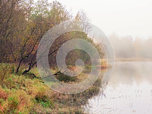 Mystical morning landscape with fog over the lake. Soft focus
