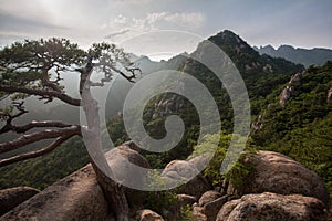 The Mystical Mountains of South Korea: Gayasan National Park in Gyeongsang Province