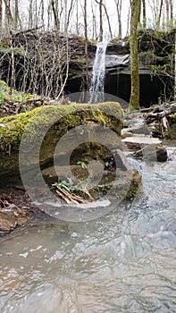 Mystical Overgrown Waterfall