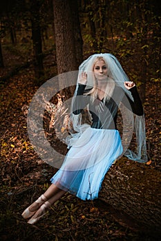 Halloween time, girl in white veil at forest