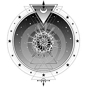 Mystical symbols of origin of life radiolaria. Sacred photo