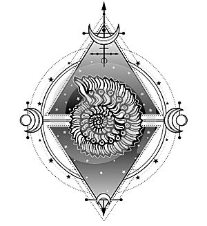 Mystical symbols of origin of life: shell, sacred geometry.