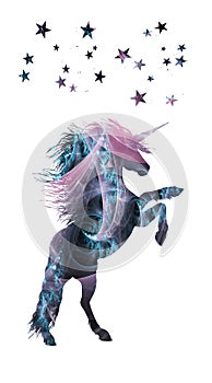 Mystical unicorn with stars and fractals vector graphic