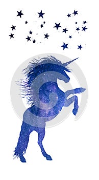 Mystical unicorn with stars and night sky view vector