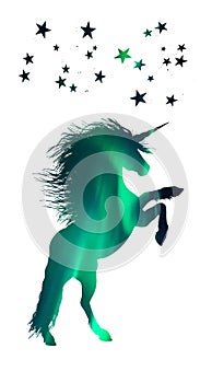 Mystical unicorn with stars and northern lights vector