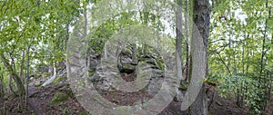 Mystical walk with remains of the Merovingian and medieval epochs in the forest near Eguisheim, France