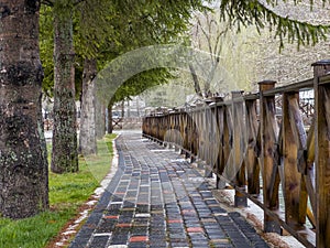 mystical walking route between the trees in the park