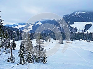 Mystical winter atmosphere in a coniferous forests on the Alpstein range in Appenzell Alps massif, EnnetbÃÂ¼hl or Ennetbuehl photo