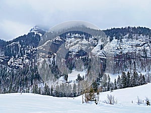 Mistico atmosfera conifere foreste sul allineare Alpi massiccio O 