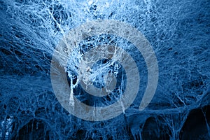 Mysticism, horror, fear abstraction grunge background fear of spiders, blue web