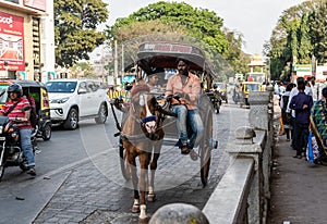 A man riding a horse cart on the streets of the city of Mysore