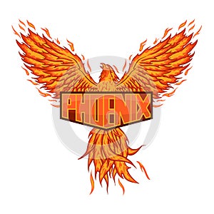 Myth of phoenix for e-sport logo, mascot and print t-shirt illustration