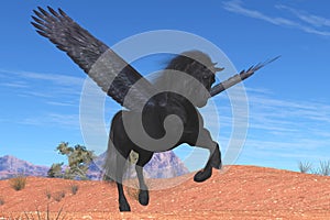 Black Pegasus