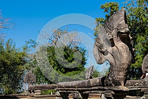 Mythical serpent-like snake creature Naga in khmer ruins wat