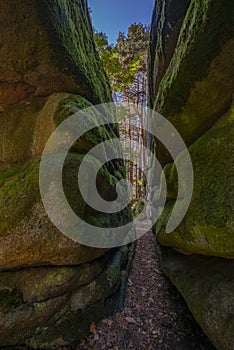 mythical stone giants and viklas and granit rockformation in Blockheide, natural reserve near Gmund, Austria photo