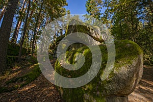 mythical stone giants and viklas and granit rockformation in Blockheide, natural reserve near Gmund, Austria photo