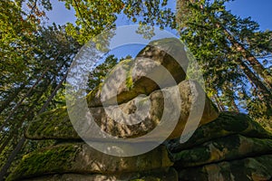 mythical stone giants and viklas and granit rockformation in Blockheide, natural reserve near Gmund, Austria photo