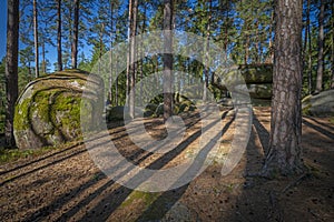 mythical stone giants and viklas and granit rockformation in Blockheide