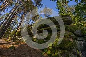 mythical stone giants and viklas and granit rockformation in Blockheide, natural reserve near Gmund, Austria