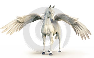 Mythical white Pegasus posing on white isolated background.