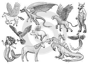 Mythological creatures, illustration, drawing, engraving, ink, line art, vector