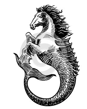 Mythological hippocampus animal