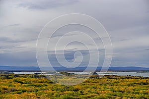 Myvatn, Iceland: A shallow lake situated in an area of active volcanism in the north of Iceland